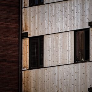 pexels-francesco-ungaro-18513513